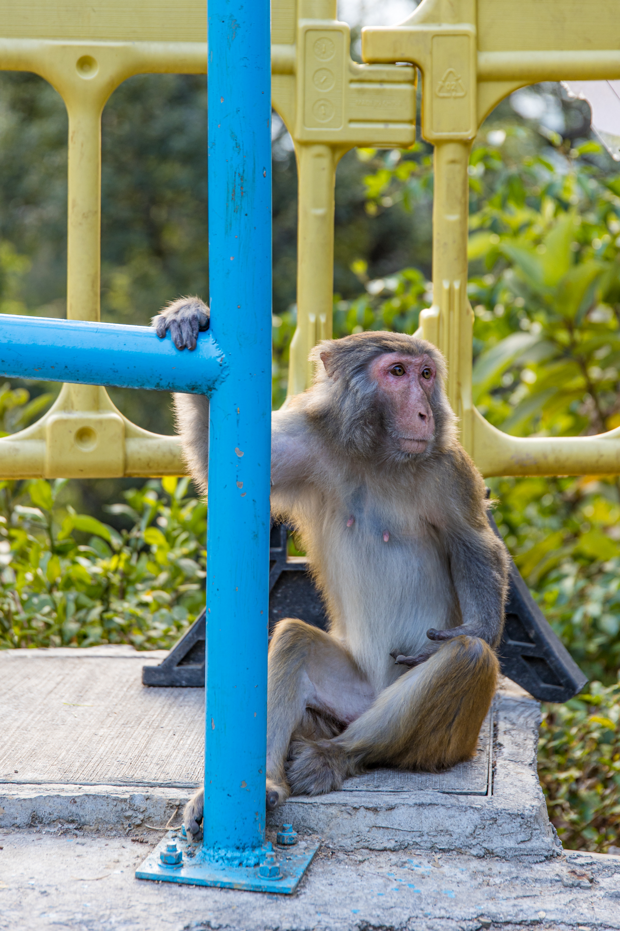 279BB3E9-AB7D-4ADF-891B-786537214616