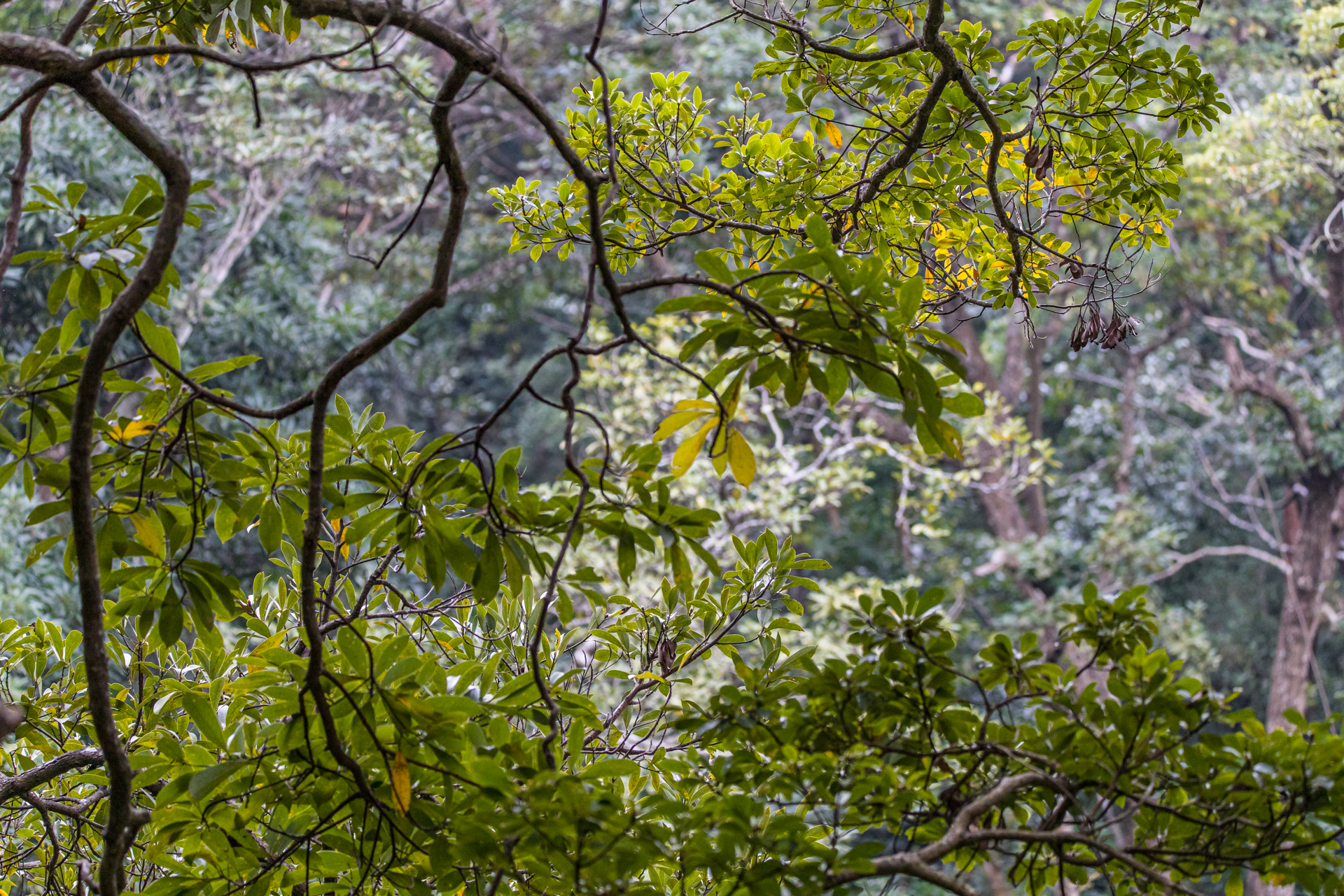 2F14CEEE-EC12-4174-9847-04D8412C894C