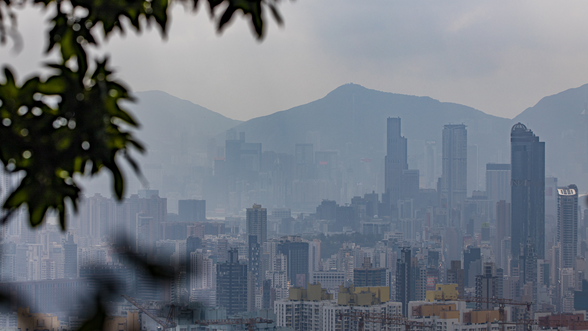 311C62FF-3CA9-4417-9A96-A877F1A116A8