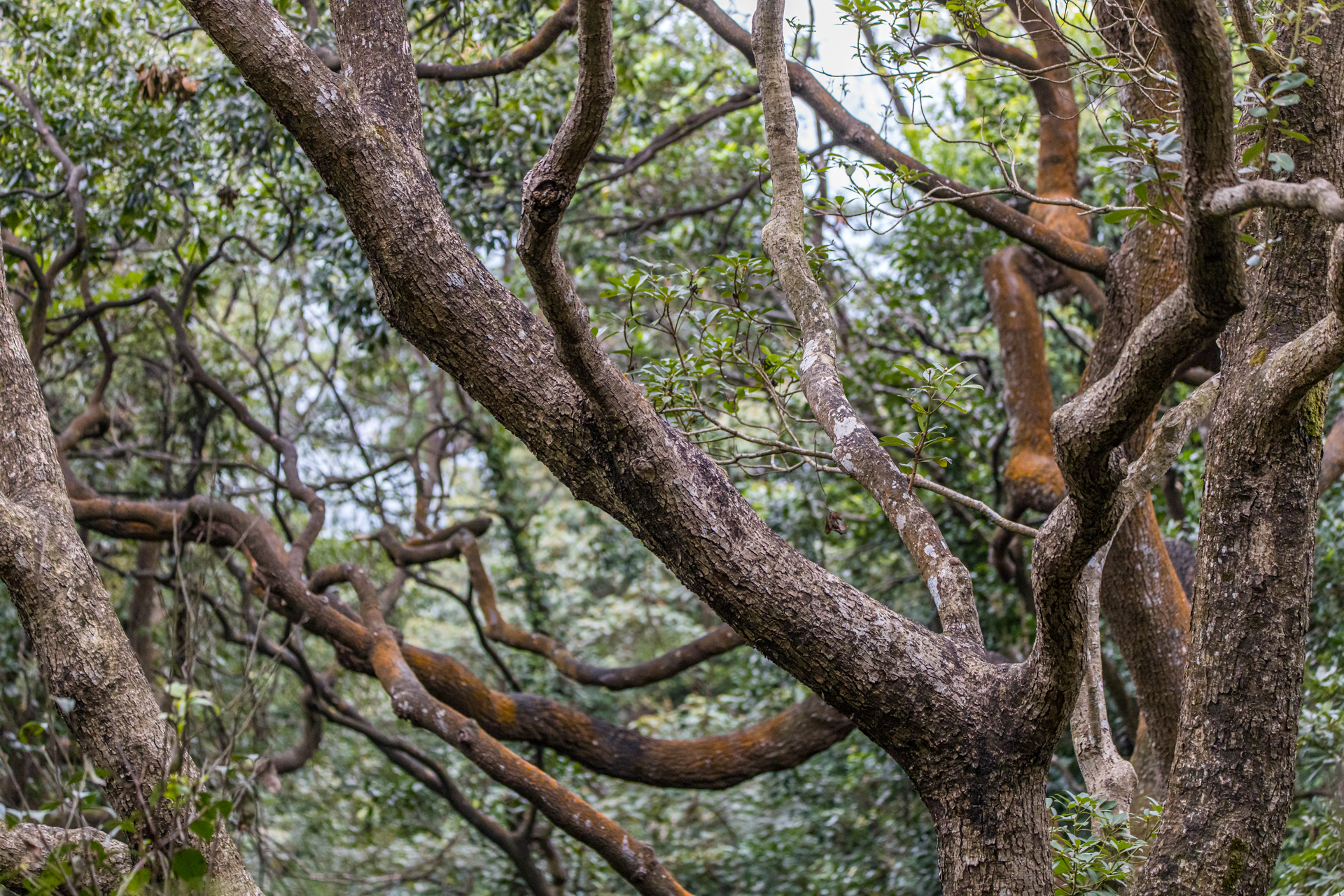 4259DE3B-6DDB-4DF8-AED0-67998889C0DB