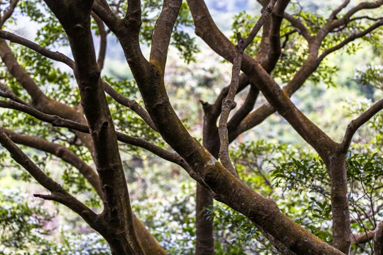 4780F7AA-AF9B-4644-8DDD-8C08A1ADBAB7