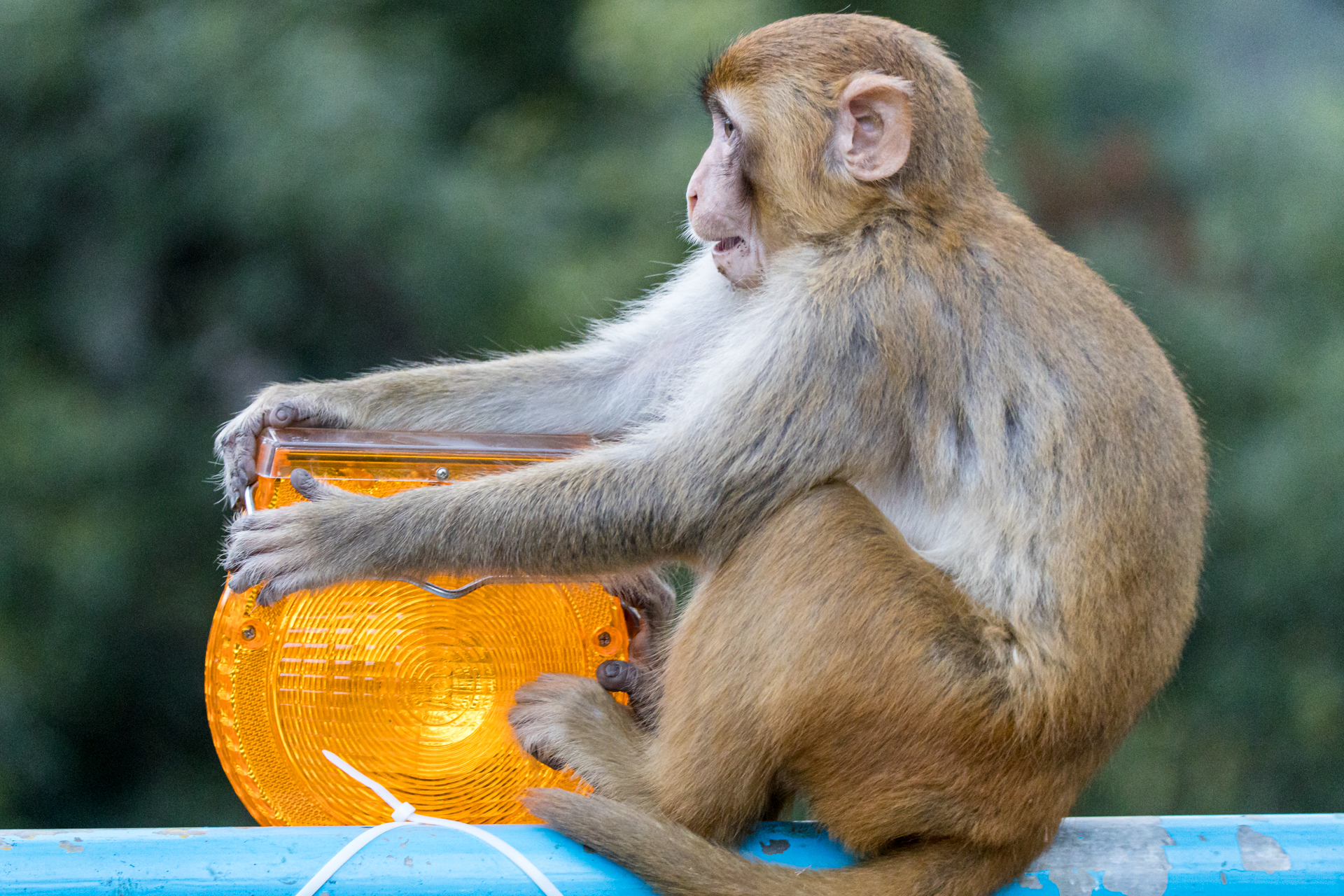 4CBCA311-E075-4CCF-854D-9207CFD7D43C