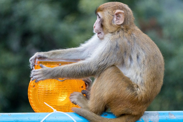 4CBCA311-E075-4CCF-854D-9207CFD7D43C