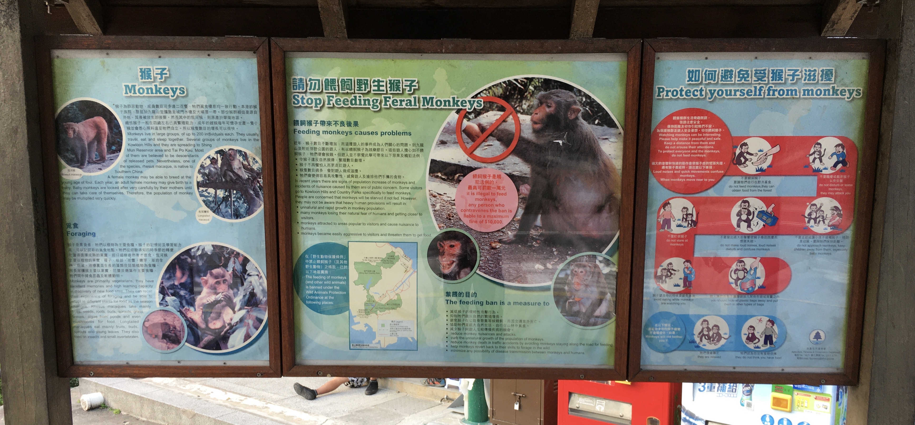 5B91159B-E232-42F3-908B-C52380A47853_1_201_a