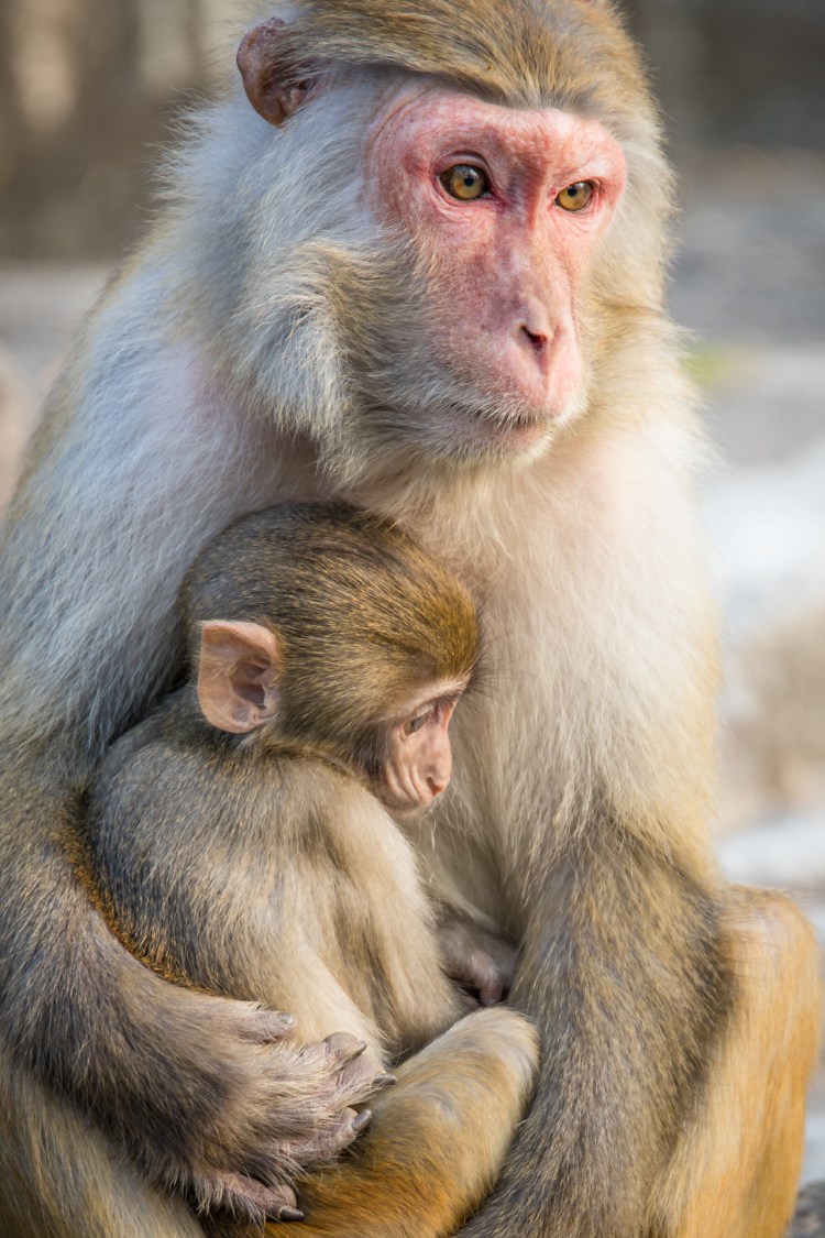 75CC5045-D2A1-4C96-BC92-6D04CC06612D