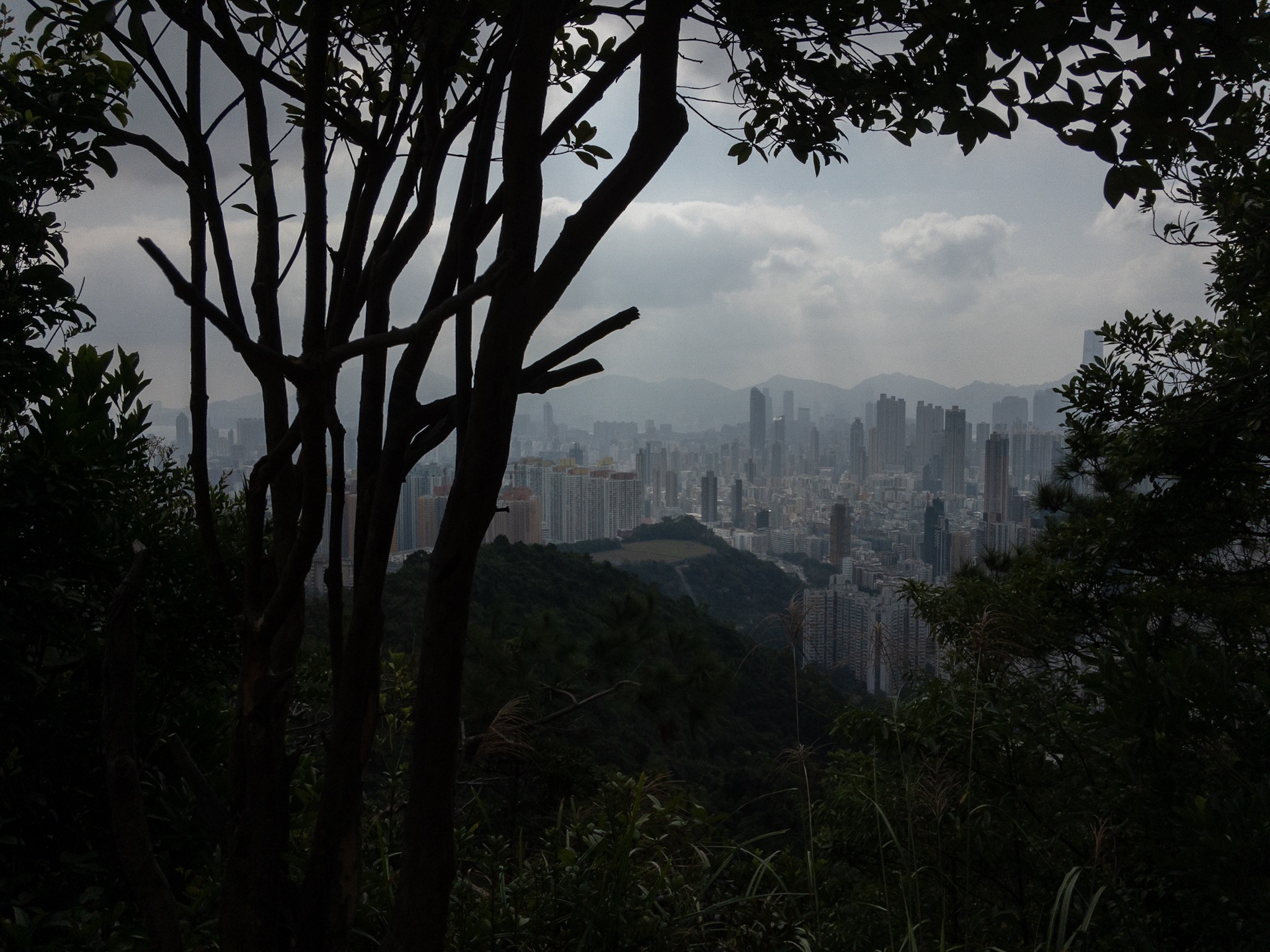 8C21C98F-BAF2-450E-83E9-2DB45B4C6DB9