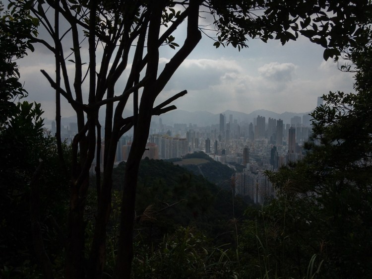 8C21C98F-BAF2-450E-83E9-2DB45B4C6DB9