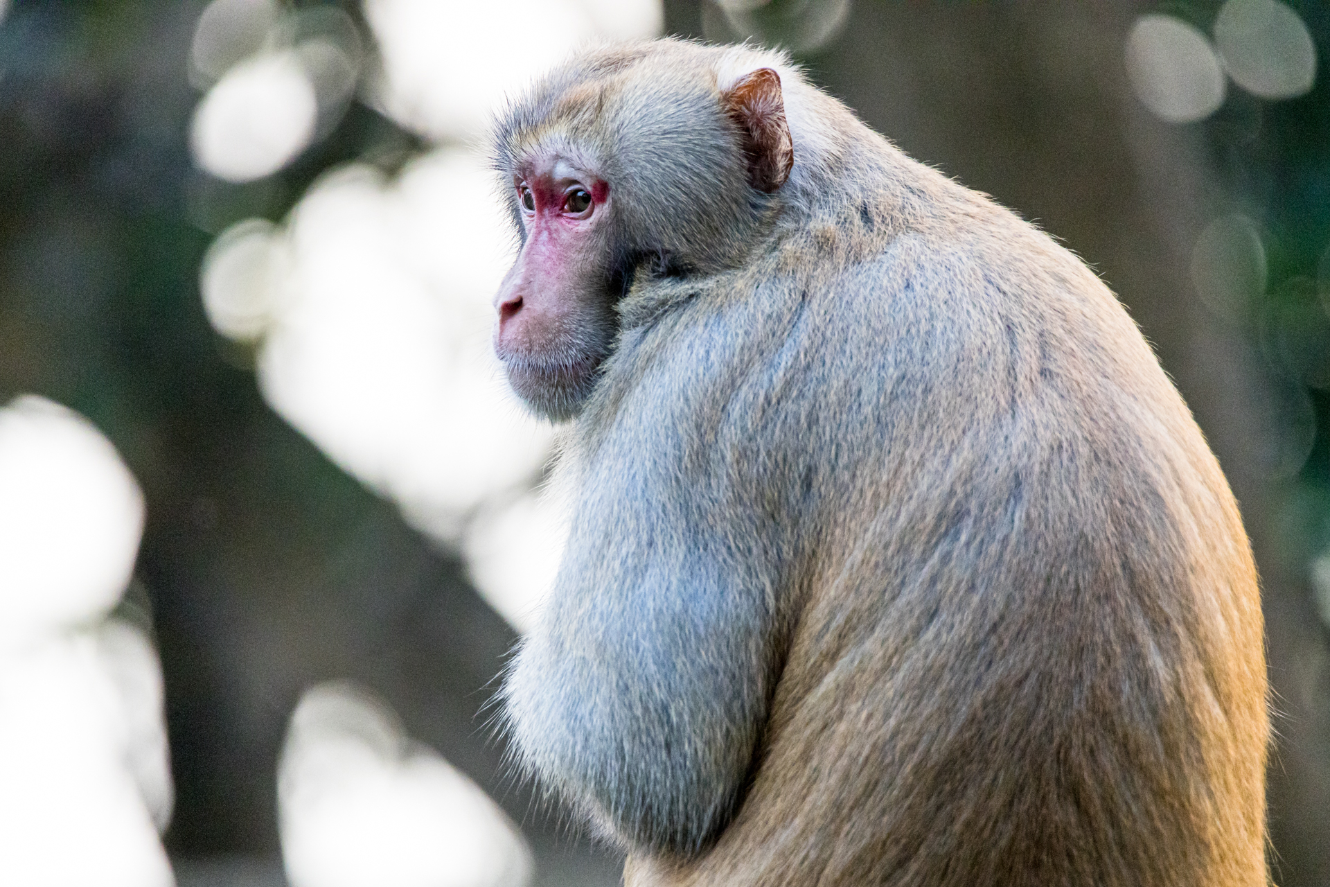 9C68E31C-F650-4147-9E5A-3EA0DDCDA36C