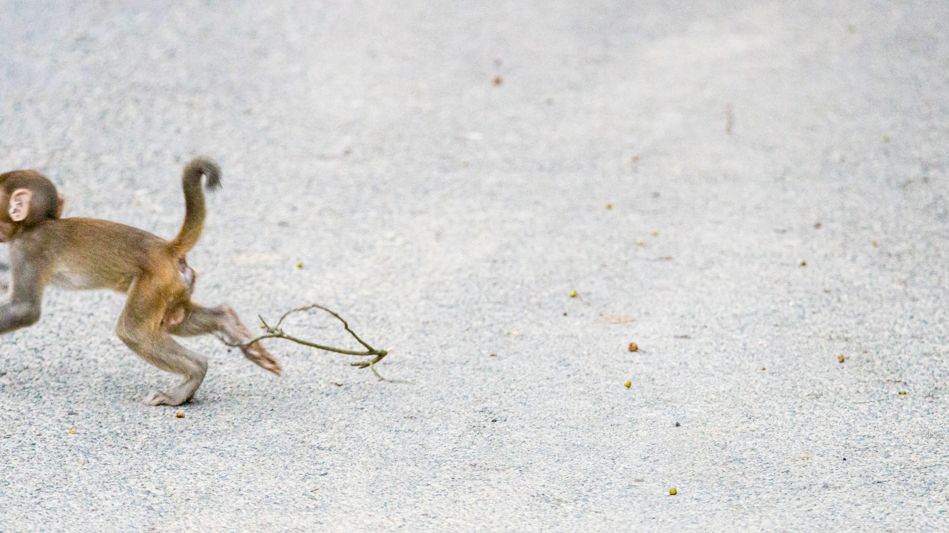 A3B3AB68-C81C-469A-B70C-F9C5EEB2B62C