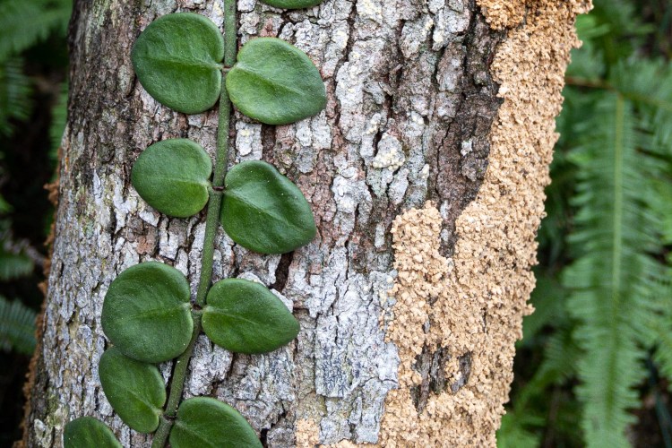 AC699FCC-9B99-47FC-A0FB-BC75263223E5