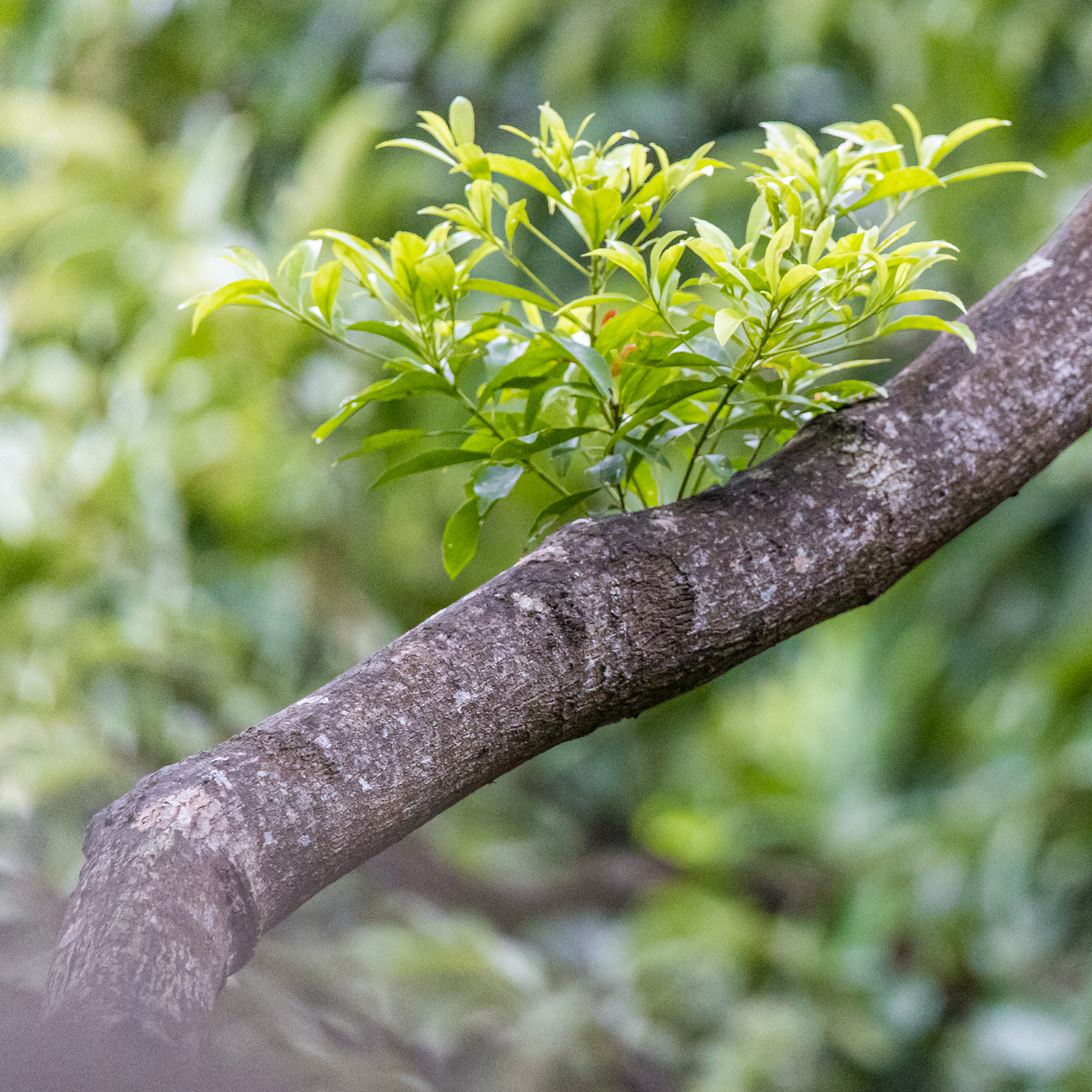 AFB5D18D-E6B9-4F1C-AA7C-62FC6CEA5DE4