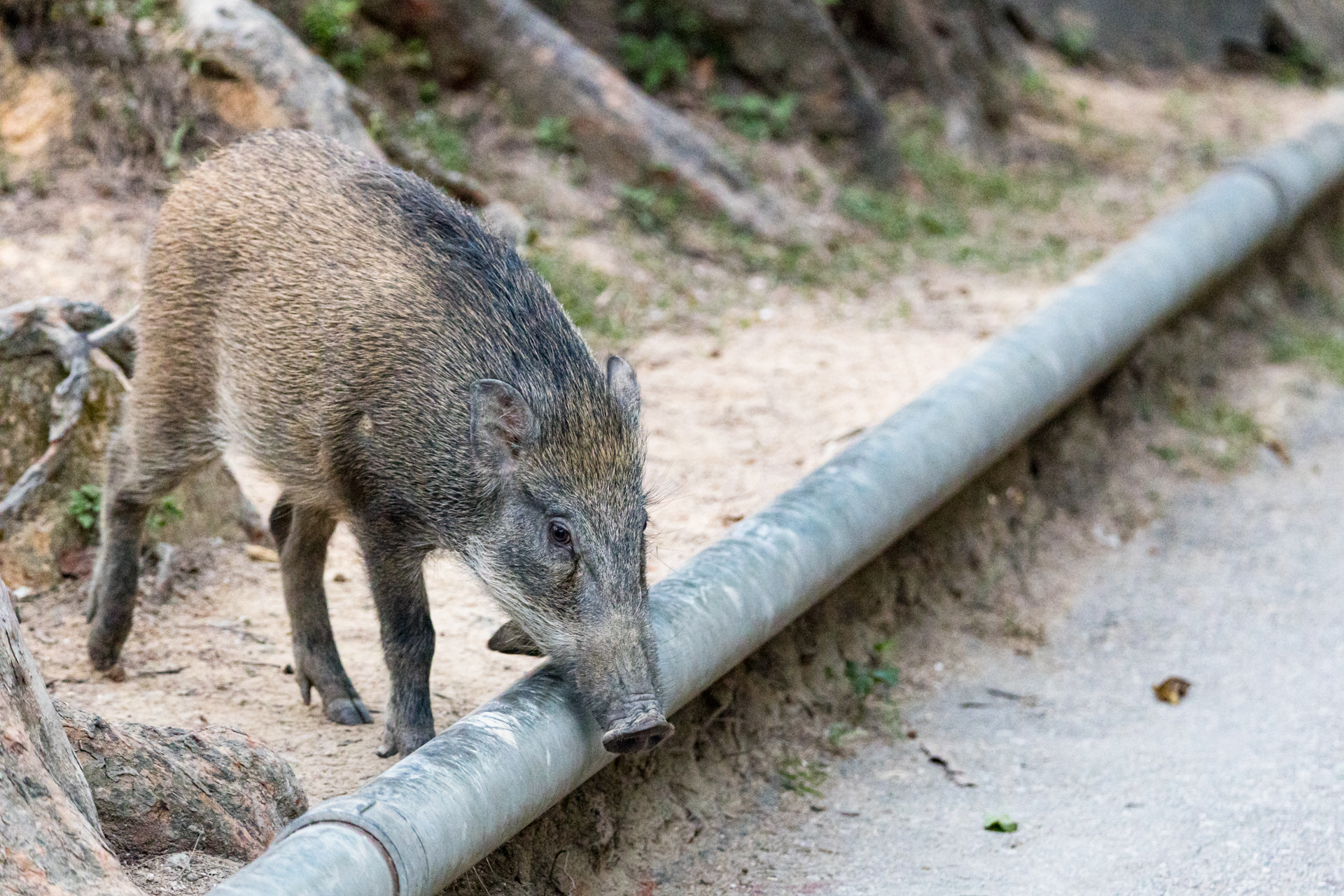 B47133E2-BE96-4E49-965D-3443A551A25C