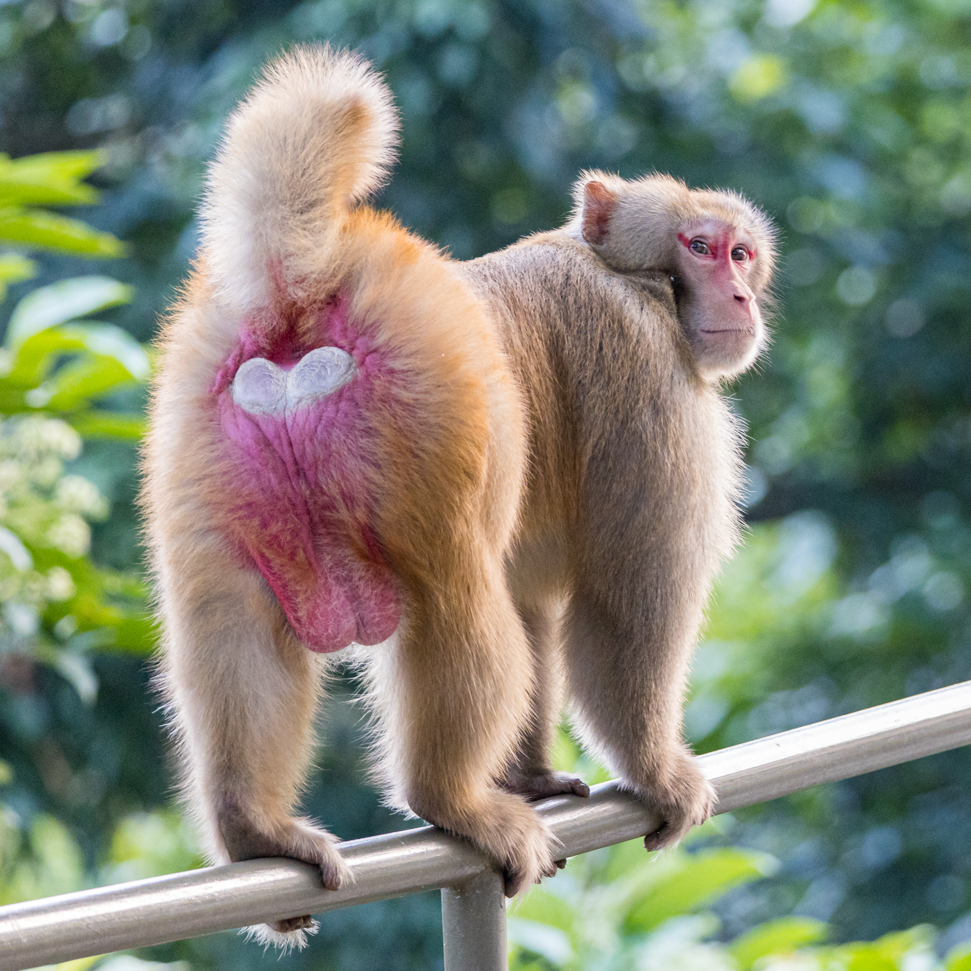 E090B446-46F9-40EE-94D7-4CDD9E34747B