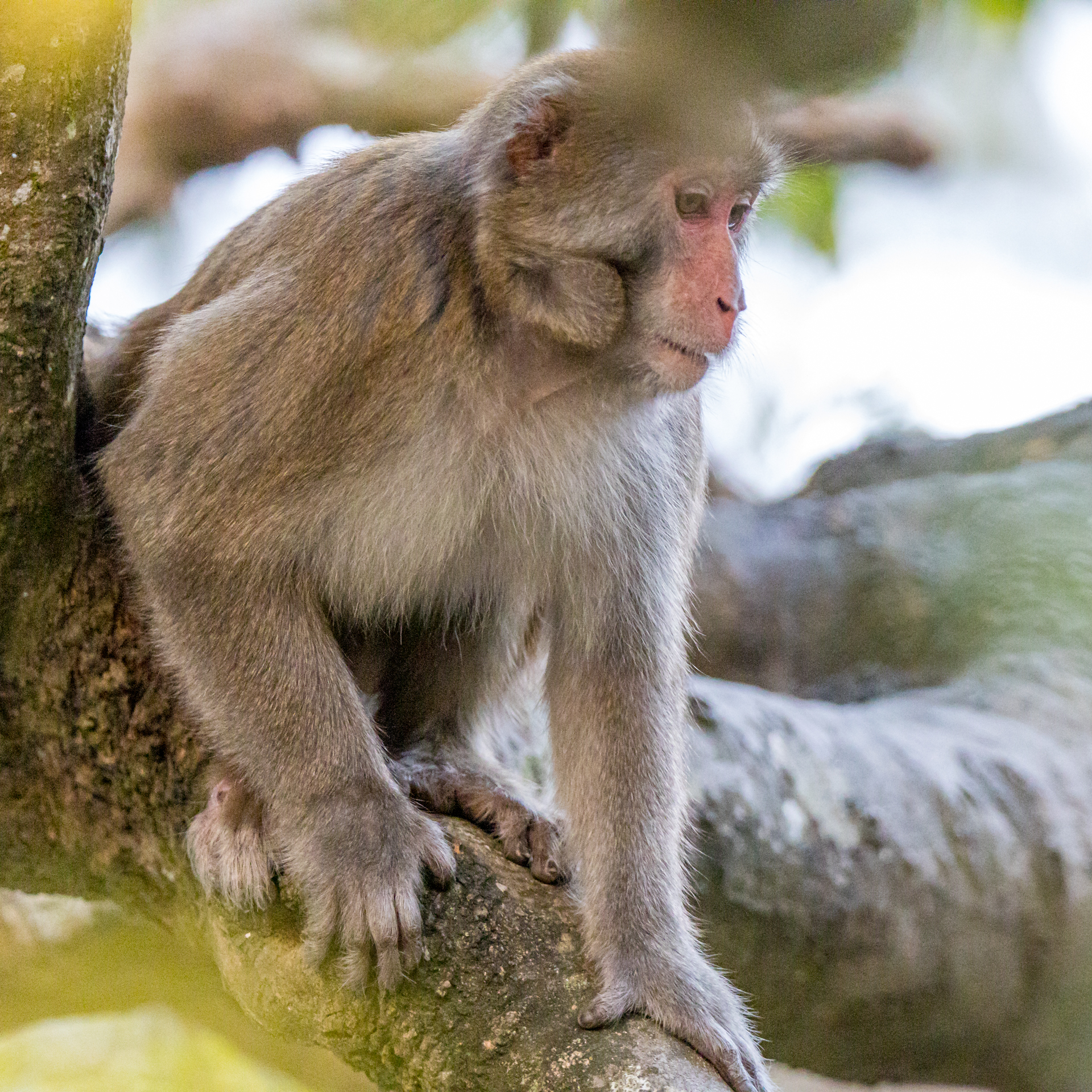 E386984A-BF41-49CE-8953-A6543014E3F7