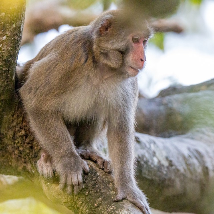 E386984A-BF41-49CE-8953-A6543014E3F7