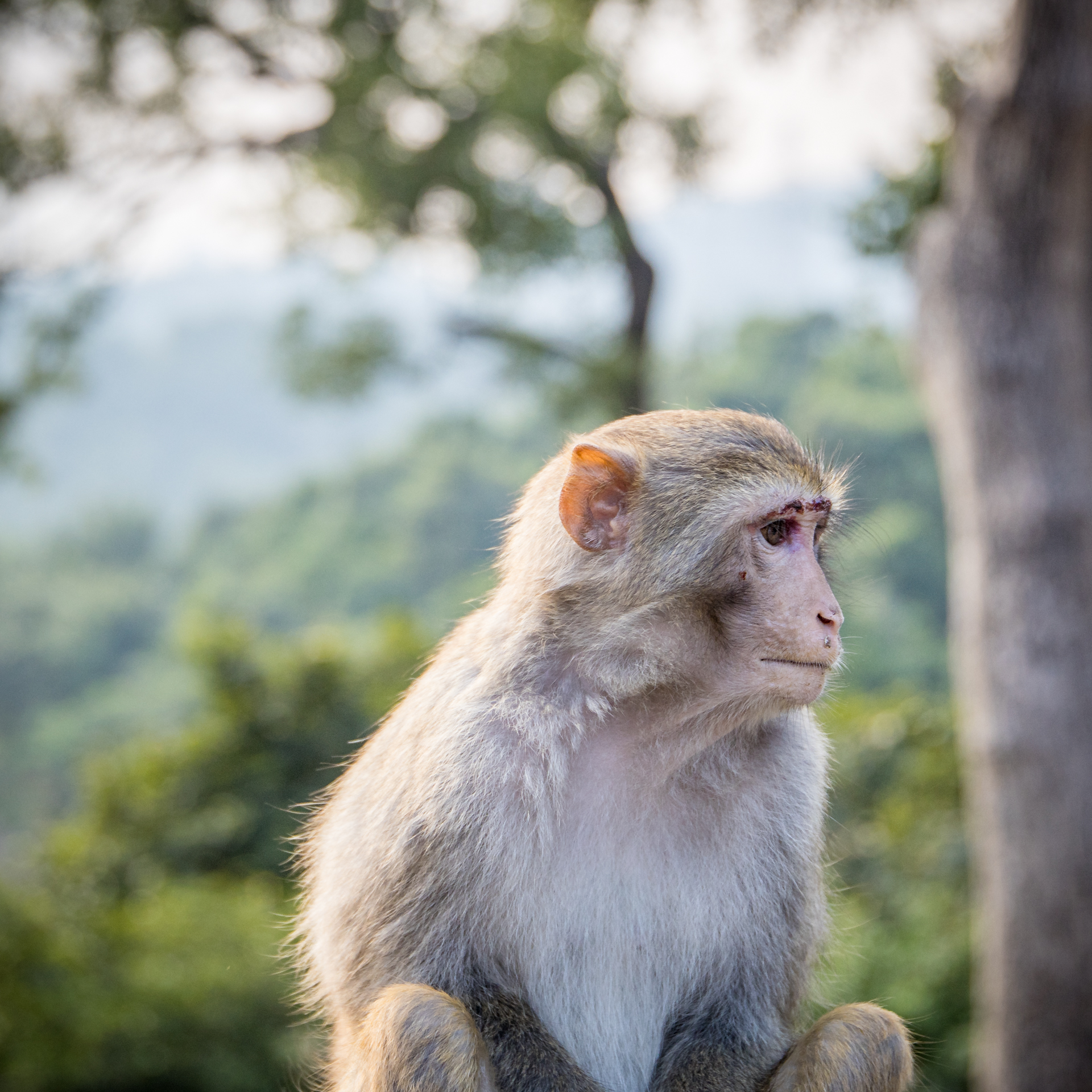 F5BF2B5F-F46C-471F-9178-A0EF4ED12019