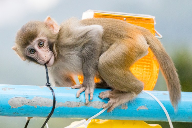 F78E90C1-9DE5-427E-9A68-DE52CBF4F03B