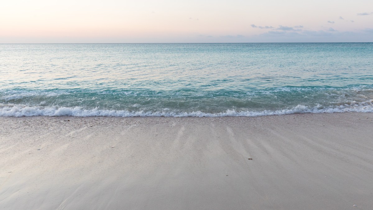 Staring at the&nbsp;sea